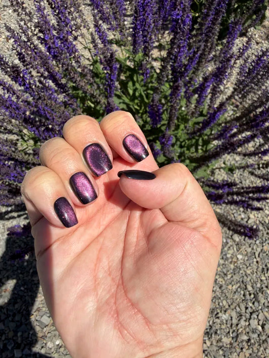 Cosmic Violet