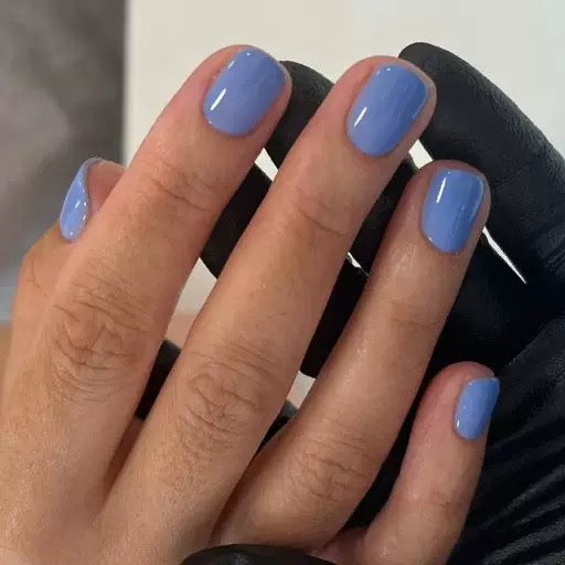 Baby Blue Bliss